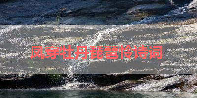 凤穿牡丹琵琶怜诗词 