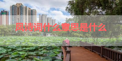凤诗词什么意思是什么 
