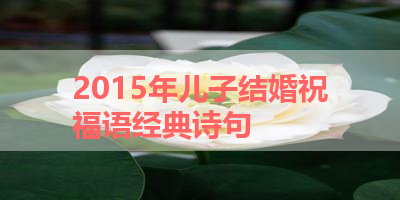 2015年儿子结婚祝福语经典诗句 
