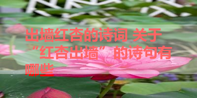 出墙红杏的诗词 关于“红杏出墙”的诗句有哪些 