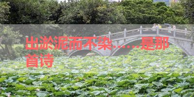 出淤泥而不染……是那首诗 
