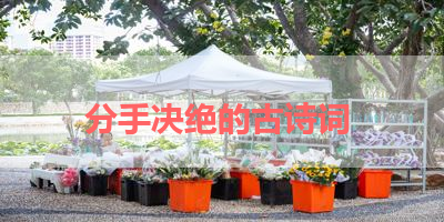 分手决绝的古诗词 