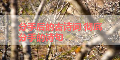 分手后的古诗词 彻底分手的诗句