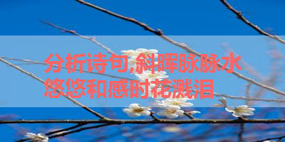 分析诗句,斜晖脉脉水悠悠和感时花溅泪 