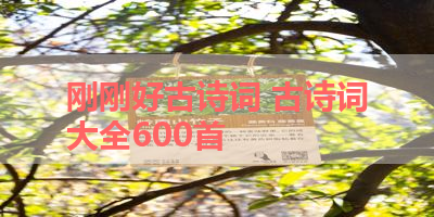刚刚好古诗词 古诗词大全600首 