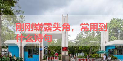 刚刚崭露头角，常用到什么诗句 