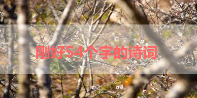 刚好54个字的诗词 