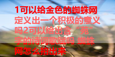 1可以给金色的蜘蛛网定义出一个积极的意义吗2可以给出含“苑”字的诗词歌赋吗 蜘蛛网怎么拍出来