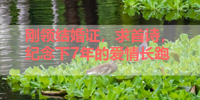 刚领结婚证，求首诗，纪念下7年的爱情长跑 
