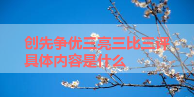 创先争优三亮三比三评具体内容是什么 