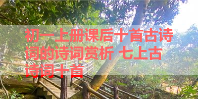 初一上册课后十首古诗词的诗词赏析 七上古诗词十首
