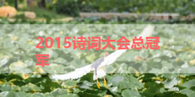 2015诗词大会总冠军 