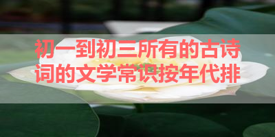 初一到初三所有的古诗词的文学常识按年代排 