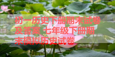 初一历史下册期末试卷及答案 七年级下册期末模拟历史试卷