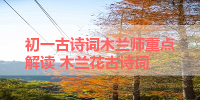 初一古诗词木兰师重点解读 木兰花古诗词