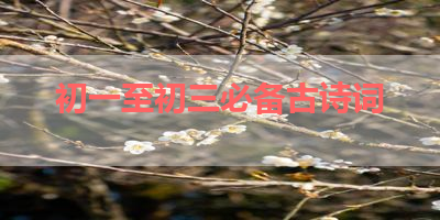 初一至初三必备古诗词 