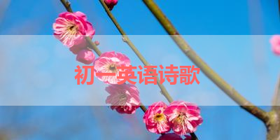 初一英语诗歌 