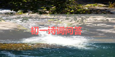 初一诗词问答 