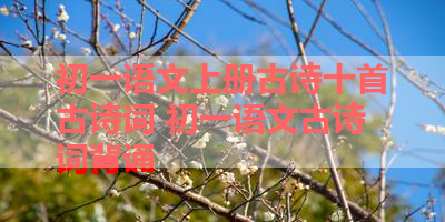 初一语文上册古诗十首古诗词 初一语文古诗词背诵