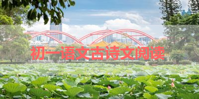 初一语文古诗文阅读 