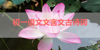 初一语文文言文古诗词 