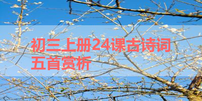 初三上册24课古诗词五首赏析 