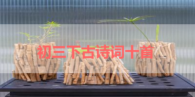初三下古诗词十首 