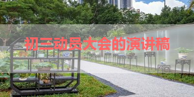 初三动员大会的演讲稿 