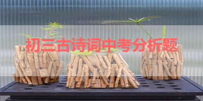 初三古诗词中考分析题 