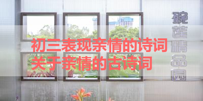 初三表现亲情的诗词 关于亲情的古诗词
