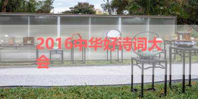 2016中华好诗词大会 