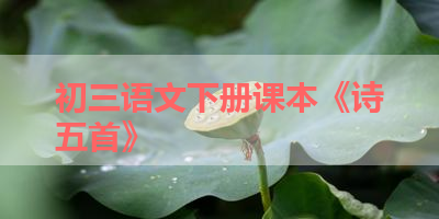 初三语文下册课本《诗五首》 