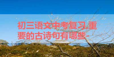 初三语文中考复习,重要的古诗句有哪些- 