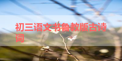 初三语文书鲁教版古诗词 