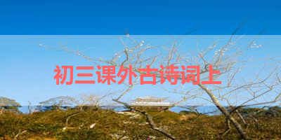 初三课外古诗词上 