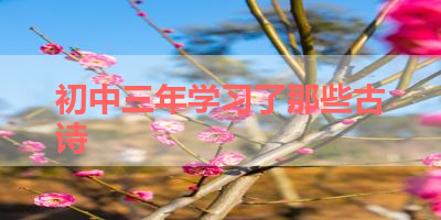 初中三年学习了那些古诗 