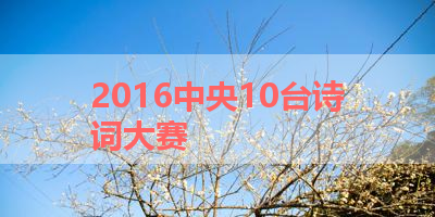 2016中央10台诗词大赛 