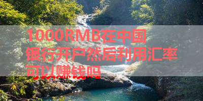 1000RMB在中国银行开户然后利用汇率可以赚钱吗 