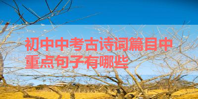 初中中考古诗词篇目中重点句子有哪些 