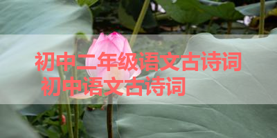 初中二年级语文古诗词 初中语文古诗词