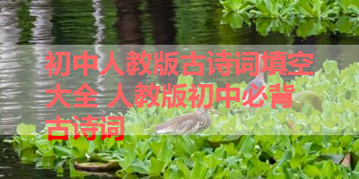 初中人教版古诗词填空大全 人教版初中必背古诗词