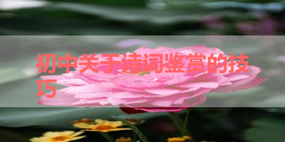 初中关于诗词鉴赏的技巧 