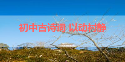 初中古诗词 以动衬静 