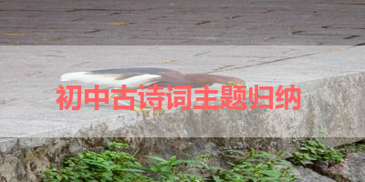 初中古诗词主题归纳 