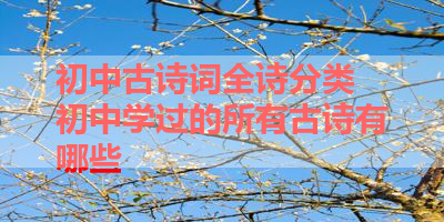 初中古诗词全诗分类 初中学过的所有古诗有哪些 