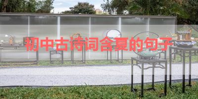 初中古诗词含夏的句子 