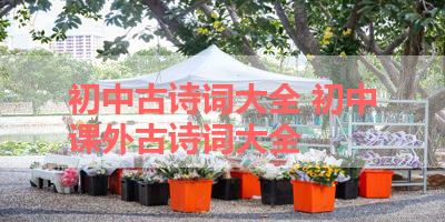 初中古诗词大全 初中课外古诗词大全