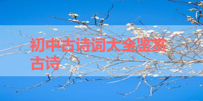初中古诗词大全鉴赏_古诗 