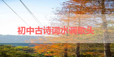 初中古诗词水调歌头 