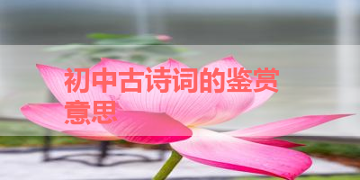 初中古诗词的鉴赏  意思 